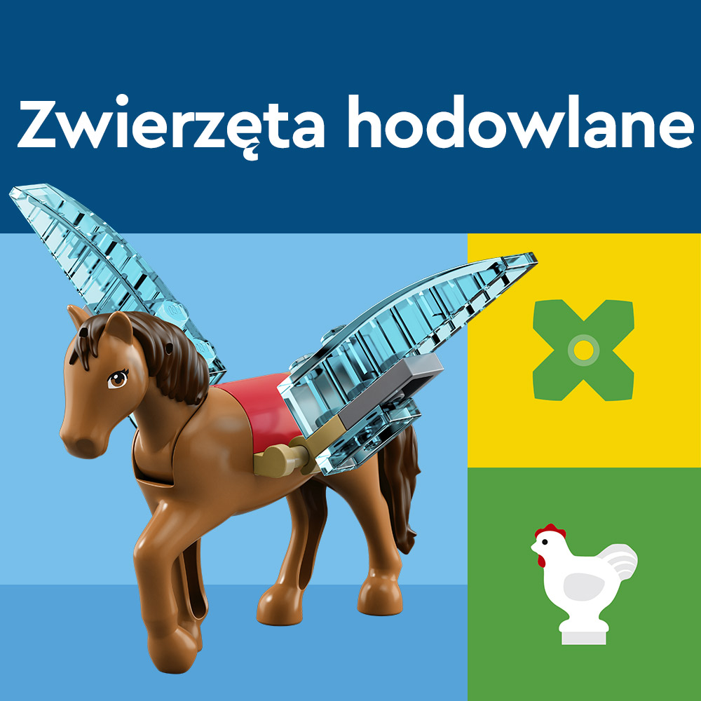 zainteresowania zwierzęta hodowlane